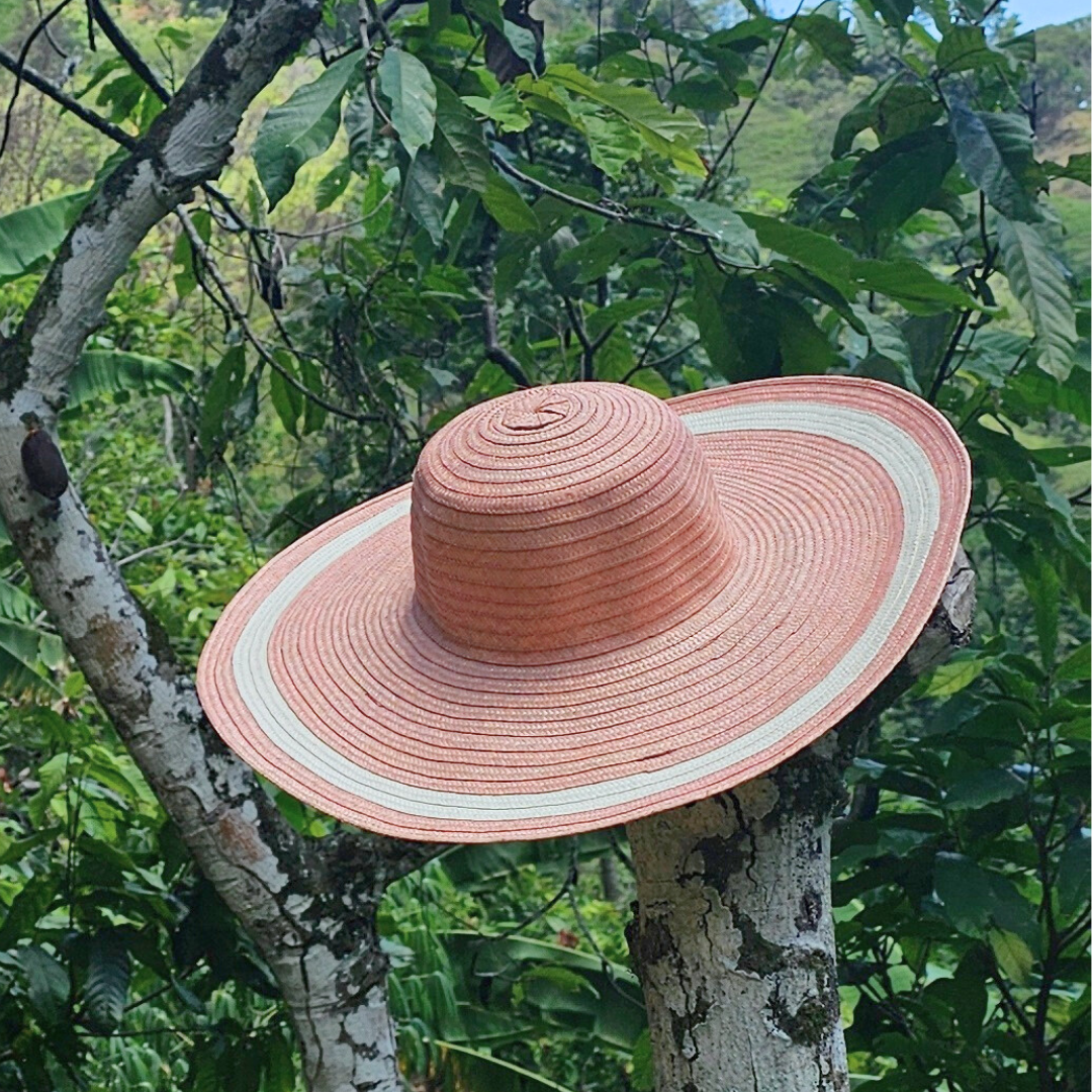 Flor de Ceiba