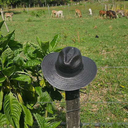 "Hato del Tolima" (Classic Cowboy)