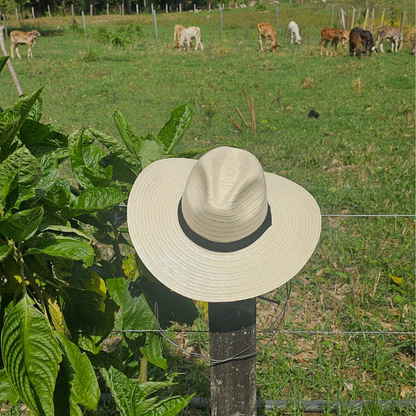 "Hato del Tolima" (Classic Cowboy)